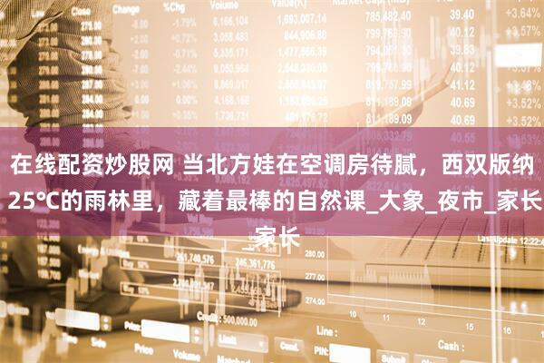 在线配资炒股网 当北方娃在空调房待腻，西双版纳 25℃的雨林里，藏着最棒的自然课_大象_夜市_家长